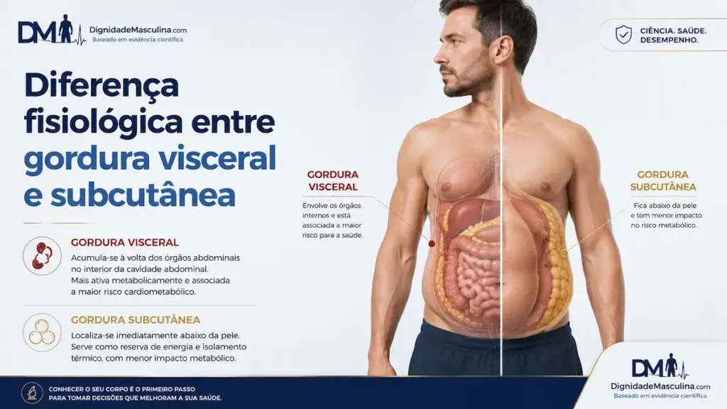 Ilustração da diferença entre gordura visceral e gordura subcutânea no corpo masculino.